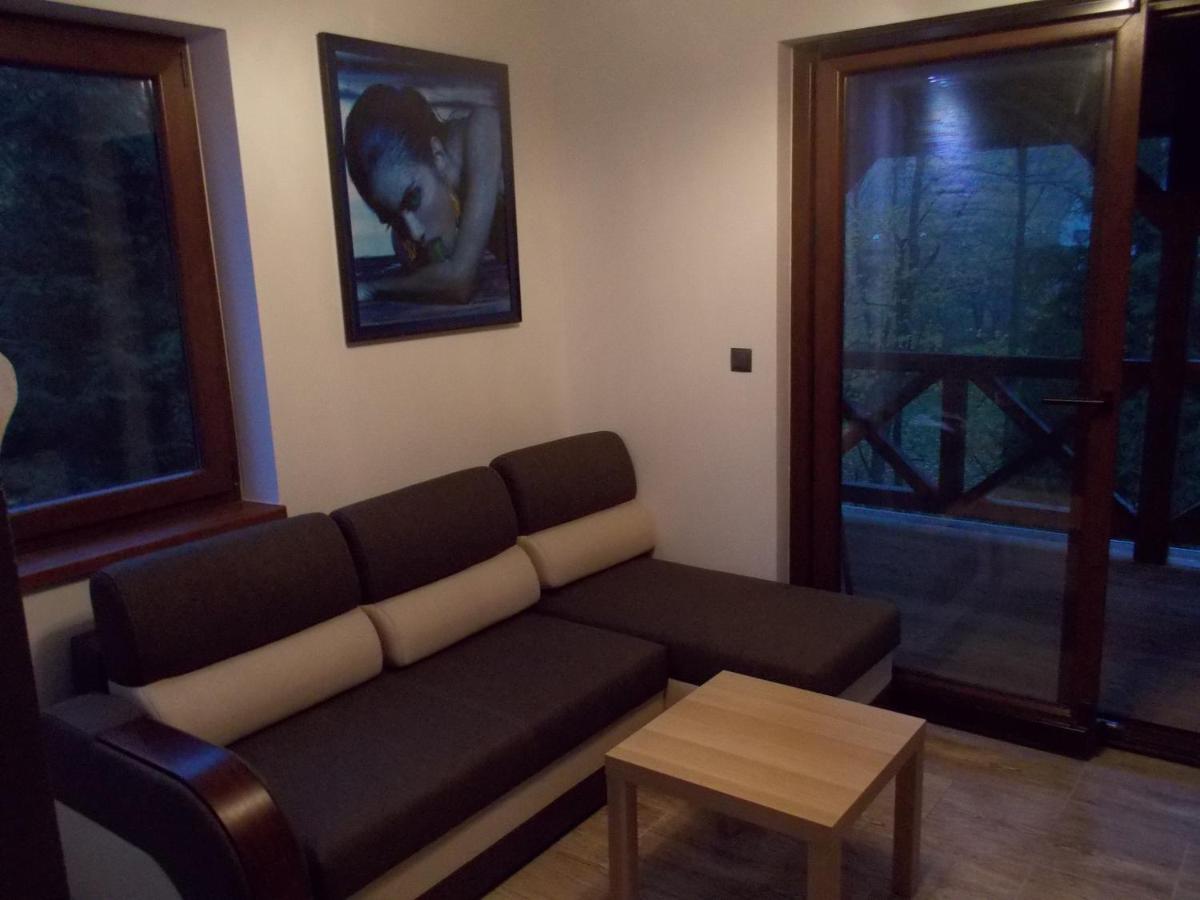 U Ponocneho Pod Ondrejnikem Villa Frýdlant nad Ostravicí Buitenkant foto